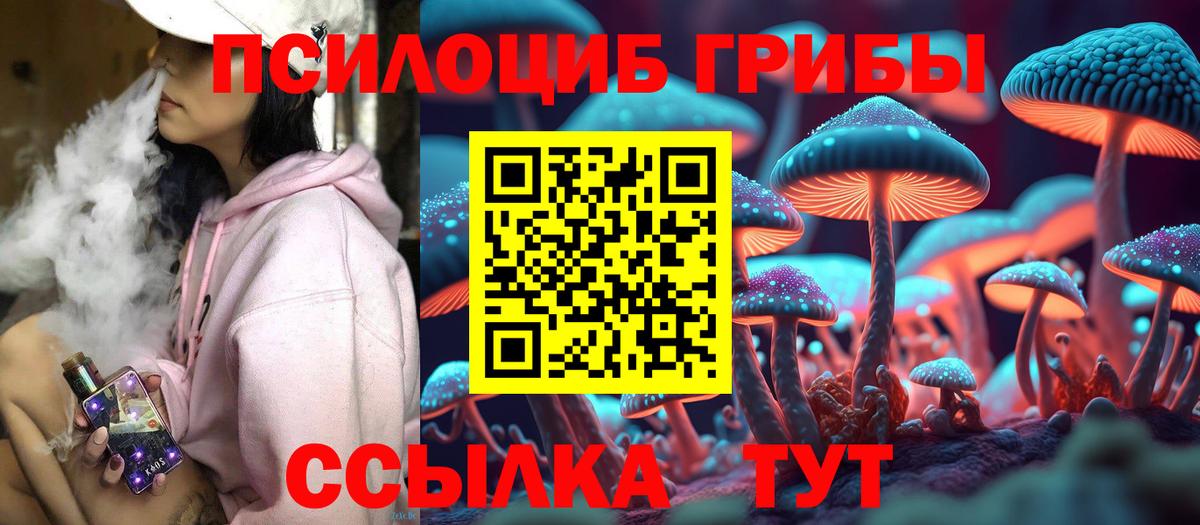 Псилоцибиновые грибы прущие грибы  Вход с VPN  Шахты  Псилоцибиновые грибы ЛСД 