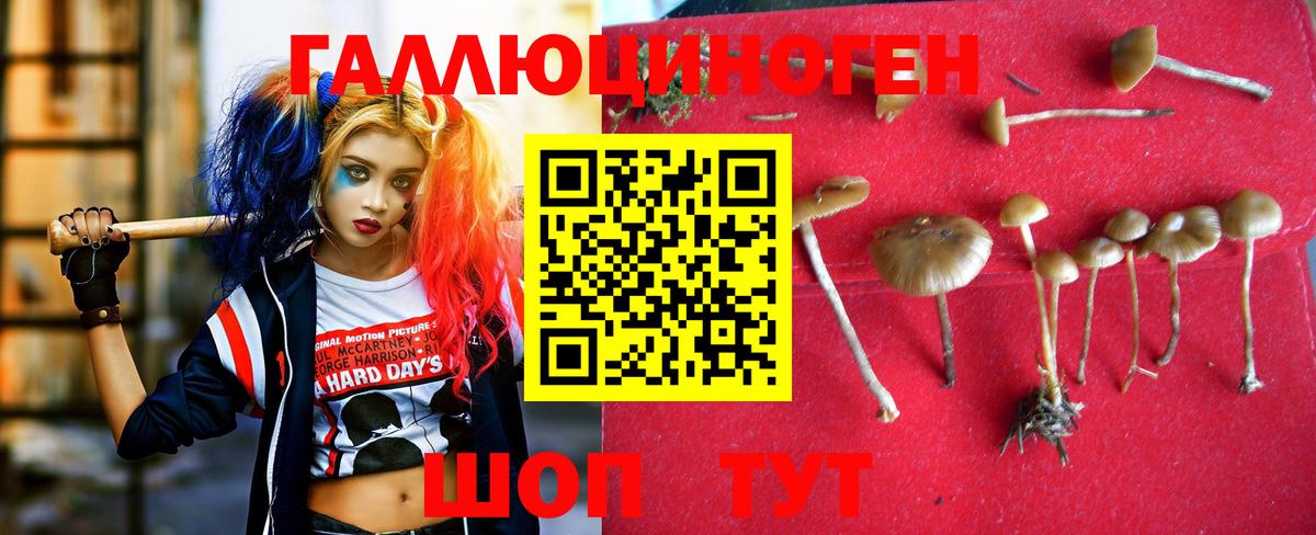 Псилоцибиновые грибы мицелий Шахты